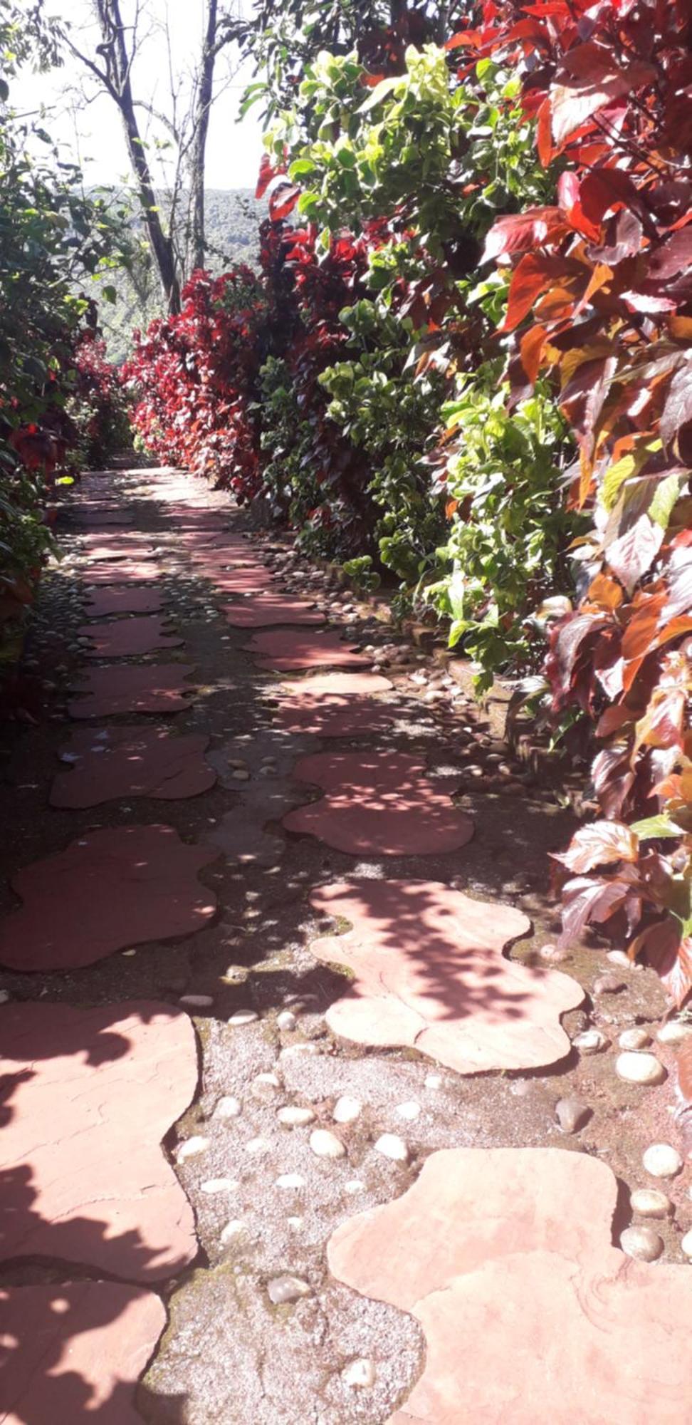 Strawberry Country Villa Mahābaleshwar Szoba fotó